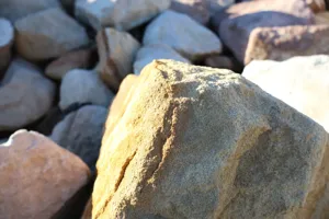 2025-06-21 Bartons Park - IMG_2489_compressed_q50.webp